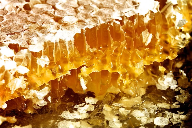 Comment les abeilles fabriquent-elles le miel ?