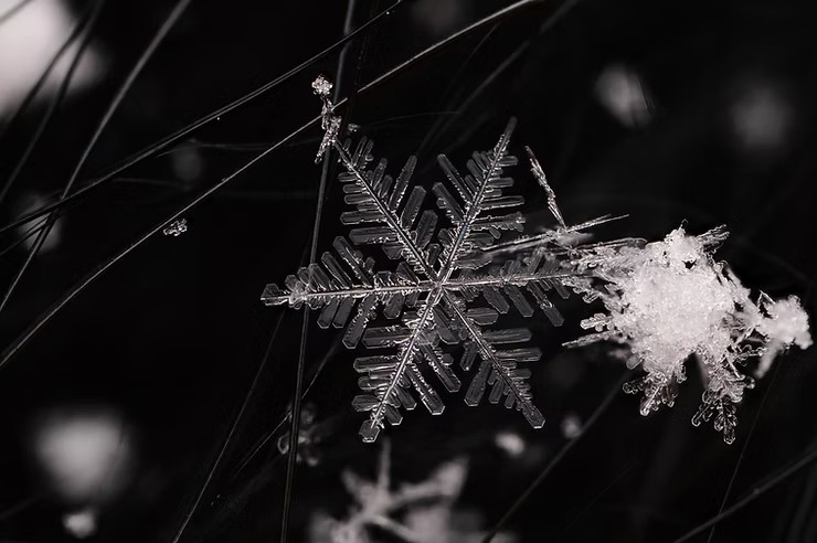 La présence de l'hexagone dans la nature